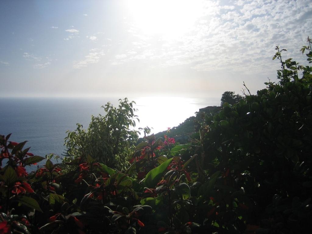 Apartamento do Sol Arco da Calheta (Madeira) Exterior foto